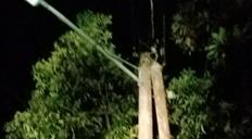 Hay 38 mil clientes sin energía eléctrica en el Cibao por averías tras fuertes vientos