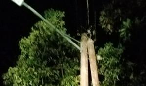 Hay 38 mil clientes sin energía eléctrica en el Cibao por averías tras fuertes vientos