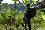 EE. UU. quita certificación de aliado antidrogas a Colombia, el mayor productor de cocaína