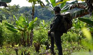 EE. UU. quita certificación de aliado antidrogas a Colombia, el mayor productor de cocaína