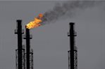 El calentamiento global acelerará las emisiones de CO2 de los suelos tropicales