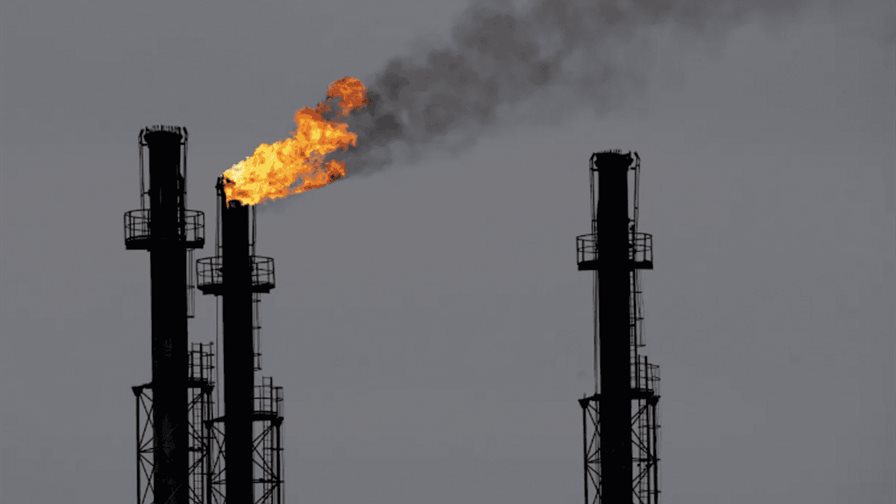 El calentamiento global acelerará las emisiones de CO2 de los suelos tropicales