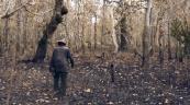 Un estudio indica que los bosques tardan más en recuperarse tras los incendios forestales