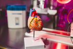 Científicos de EE. UU. crean una IA que busca prevenir infartos oyendo los latidos