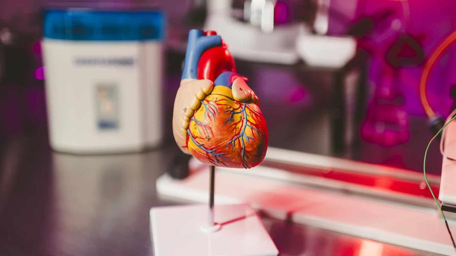 Científicos de EE. UU. crean una IA que busca prevenir infartos oyendo los latidos Científicos de EE. UU. crean una IA que busca prevenir infartos oyendo los latidos