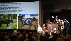 Los Nobel satíricos reconocen estudio sobre el alcohol como herramienta para los idiomas