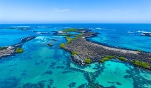 Viajar sin visa desde RD: conoce las Islas Galápagos, la joya salvaje de Ecuador