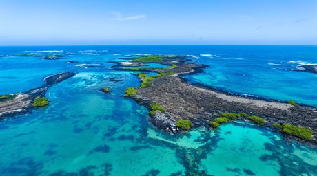 Viajar sin visa desde RD: conoce las Islas Galápagos, la joya salvaje de Ecuador