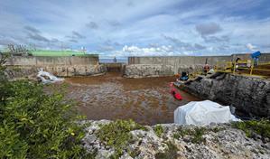 AES Andrés sale del sistema eléctrico por masiva presencia de sargazo