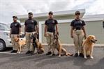 Aerodom dona residencia canina y perros entrenados a la DNCD