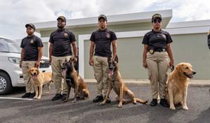 Aerodom dona residencia canina y perros entrenados a la DNCD