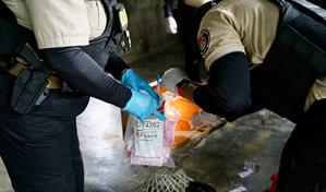 Detienen a más de 30 personas y ocupan drogas durante operativos en San Cristóbal y Baní