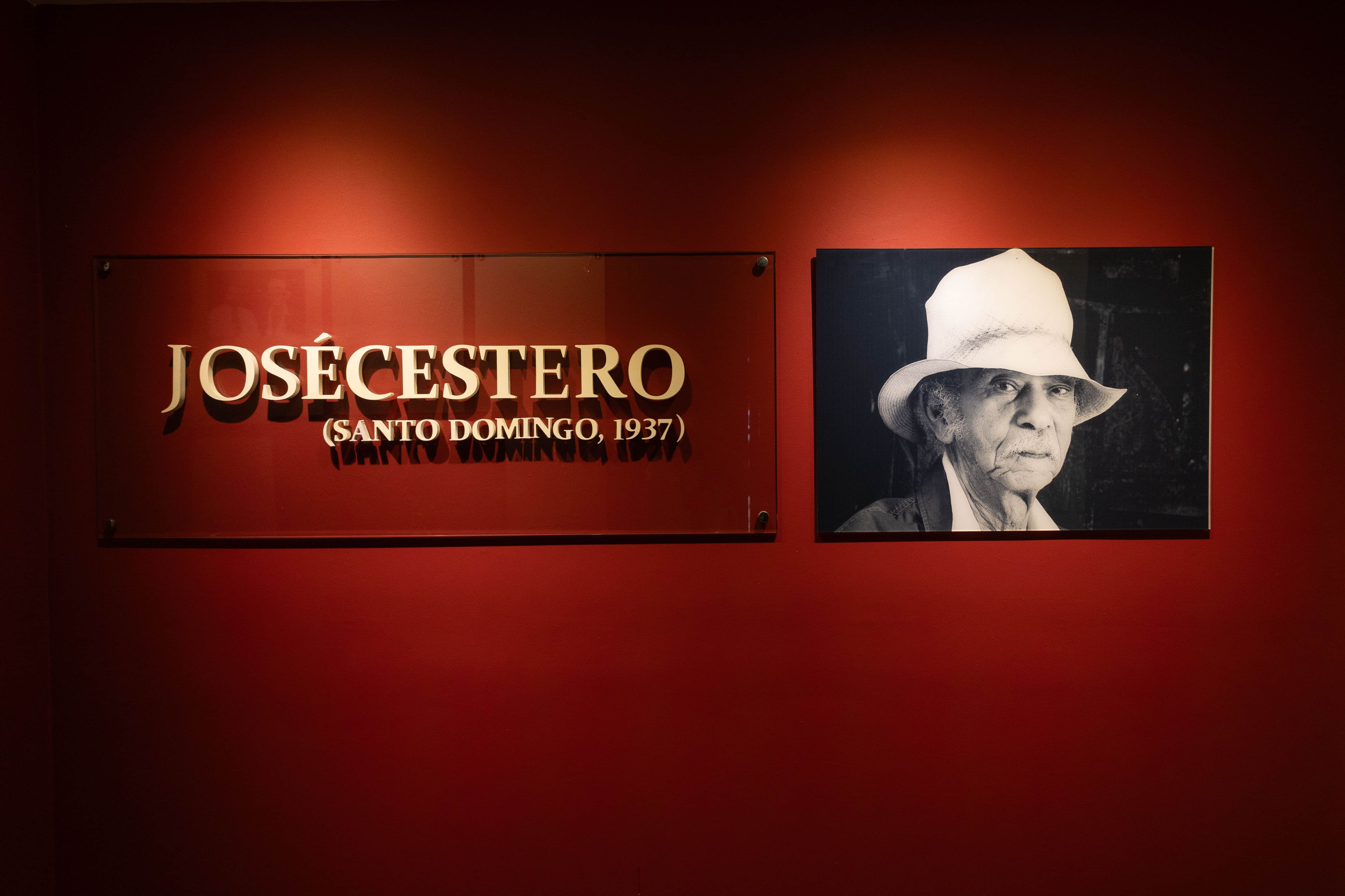 Museo José Cestero.