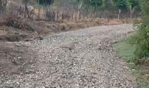 Comunitarios denuncian estado intransitable de carretera en localidad de Santiago
