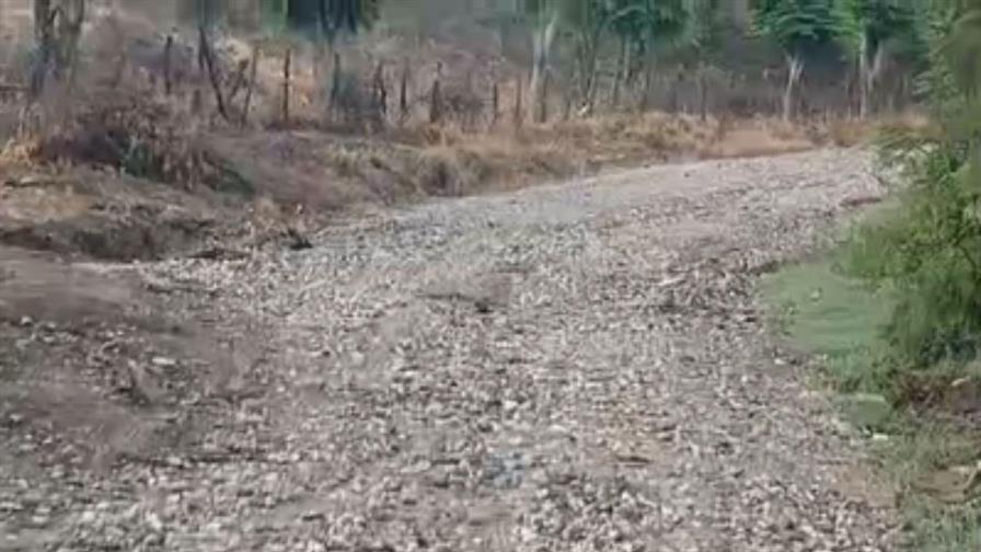 Comunitarios denuncian estado intransitable de carretera en localidad de Santiago