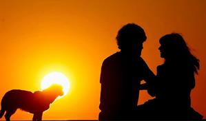 Tribunal español declara violencia machista matar a un perro para hacer sufrir a la pareja