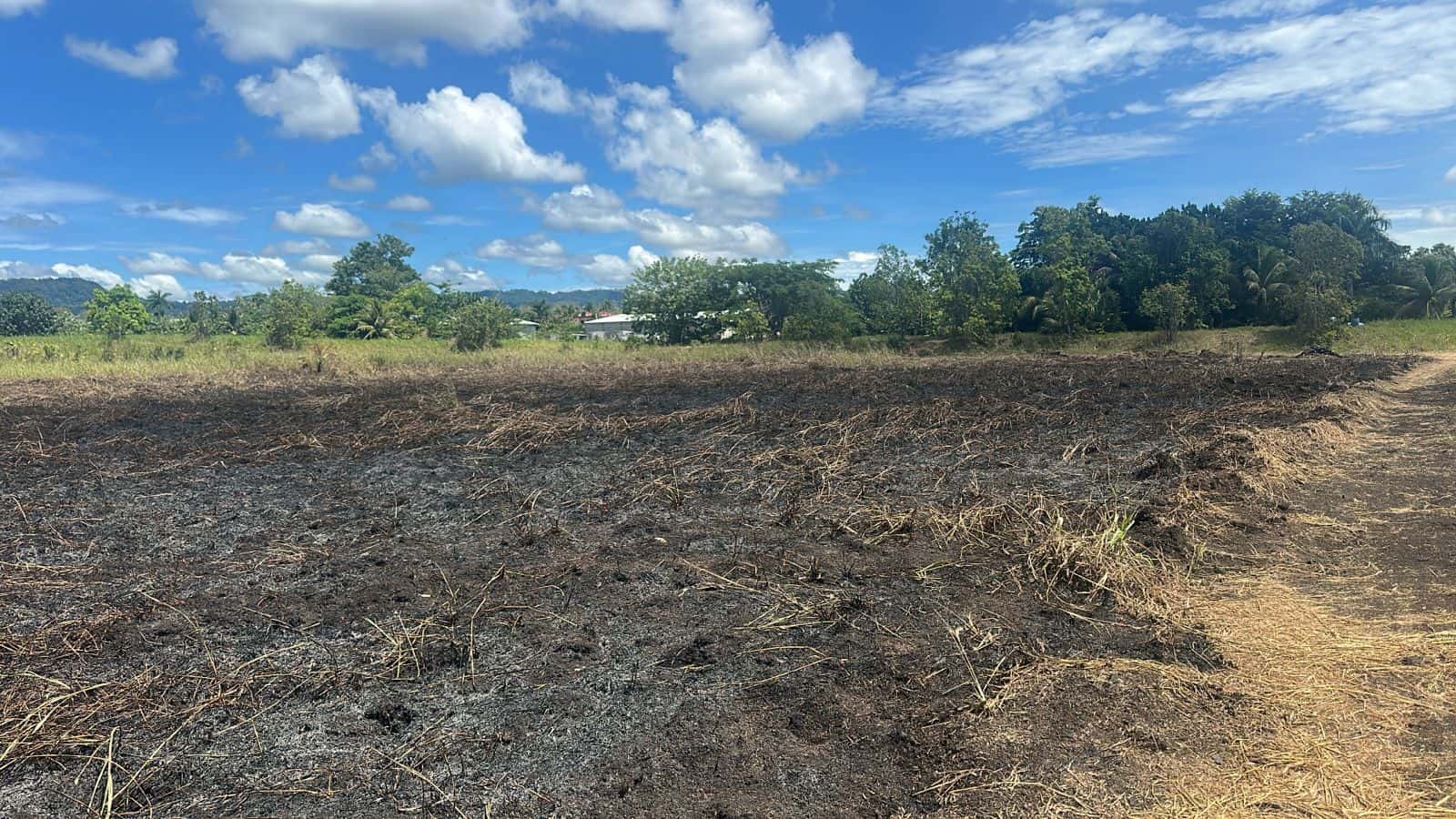 [object HTMLTextAreaElement]