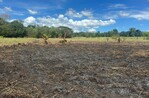 Incendio forestal consume cuatro tareas de pasto en San José de Conuco - Salcedo