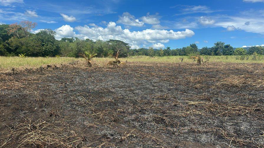 Incendio forestal consume cuatro tareas de pasto en San José de Conuco - Salcedo