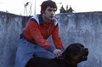 La película mexicana Amores perros celebrará sus 25 años con proyección en Bellas Artes