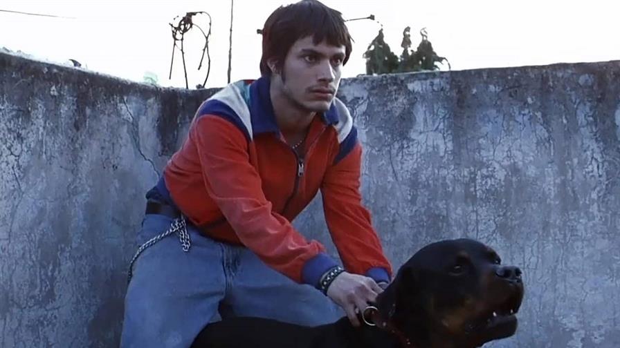 La película mexicana Amores perros celebrará sus 25 años con proyección en Bellas Artes