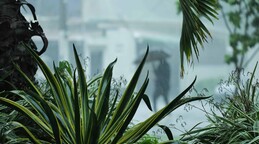 COE eleva a diez las demarcaciones en alerta por lluvias