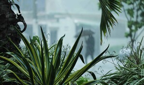 COE eleva a diez las demarcaciones en alerta por lluvias
