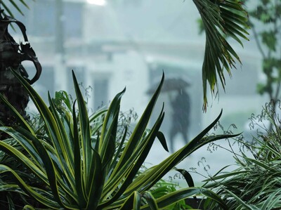 Clima en RD: Alerta por vaguada y onda tropical