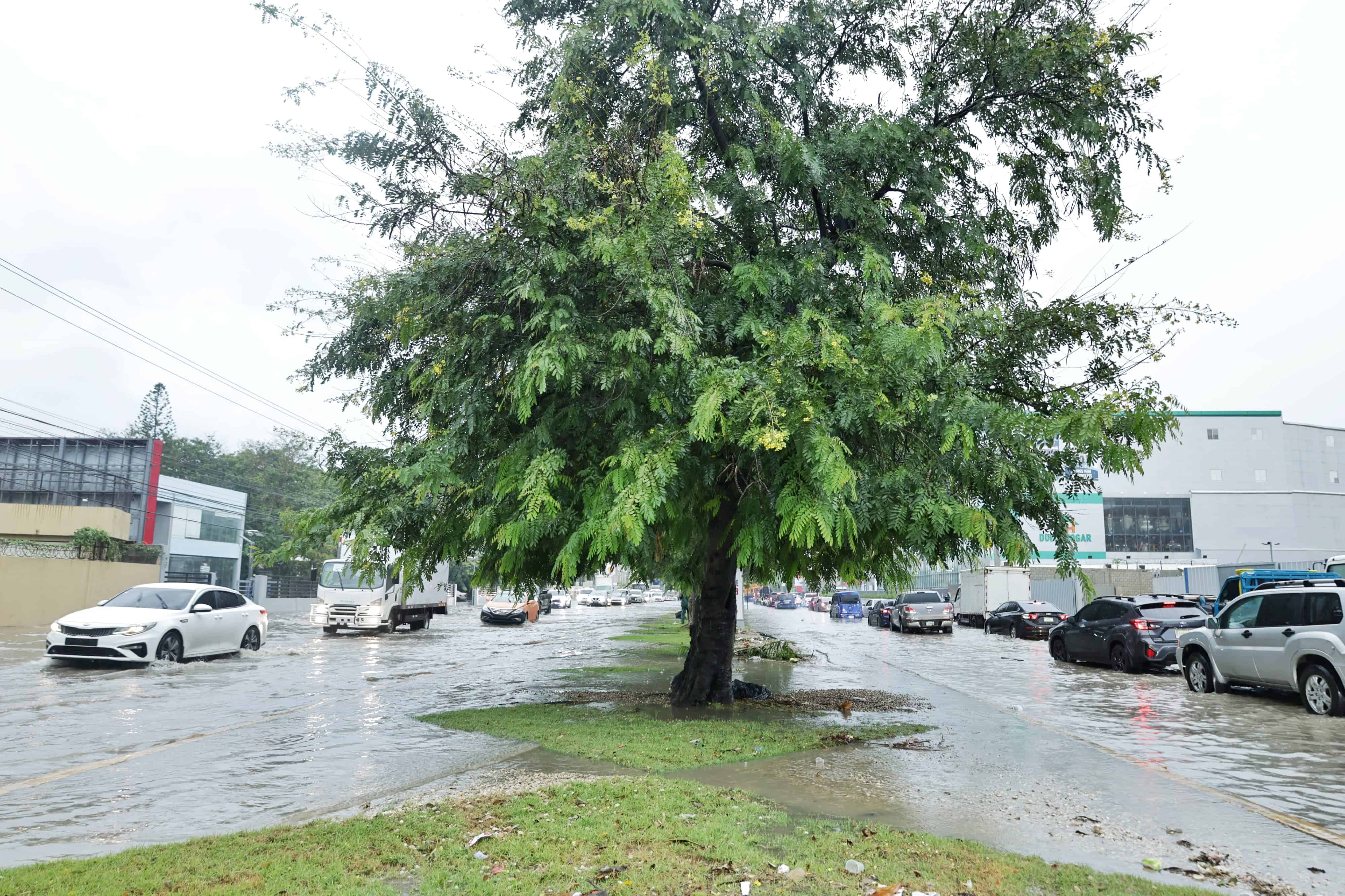 El agua se acumula en ambos sentidos de la avenida Gregorio Luperón.