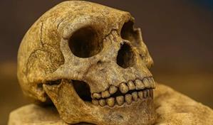 Un cráneo de un millón de años hallado en China podría reescribir historia de la evolución humana