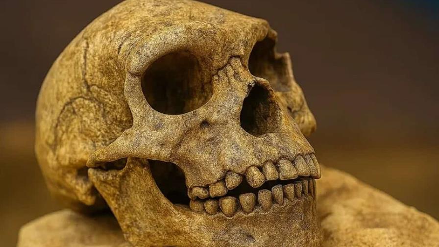 Un cráneo de un millón de años hallado en China podría reescribir historia de la evolución humana