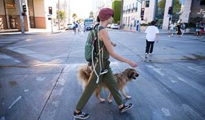 La terapia de campos eléctricos contra el cáncer