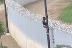 Sin dificultad: dos haitianos cruzan la verja fronteriza en La Mara de Dajabón
