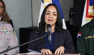 El Gobierno comenzar&aacute; en octubre un operativo de desarme