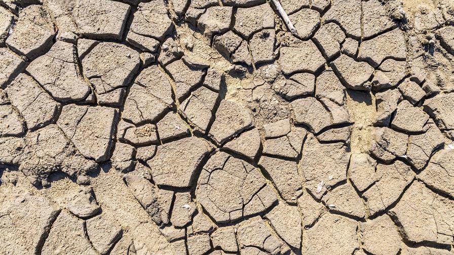 Lluvias benefician la presa de Tavera y mejoran el suministro de agua en Santiago