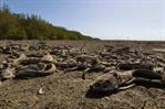 El deterioro de la Laguna de Cabral causa estupor