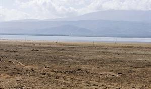 Noticias que fueron tendencia