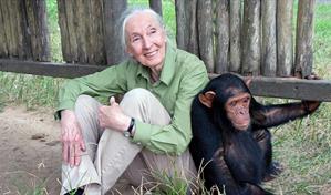 Muere a los 91 años la etóloga británica Jane Goodall, experta mundial en chimpancés