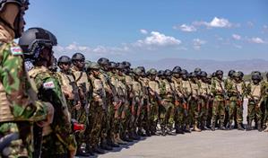 Caricom respalda la decisión de establecer una fuerza para combatir las pandillas en Haití