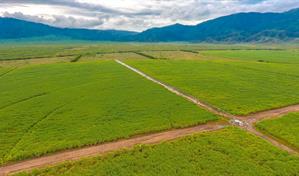 Consorcio Azucarero Central niega incidir en merma de agua de la laguna de Cabral