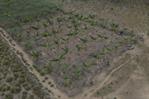 El experimento agrícola que quiere devolver el verde a la Amazonía deforestada El experimento agrícola que quiere devolver el verde a la Amazonía deforestada