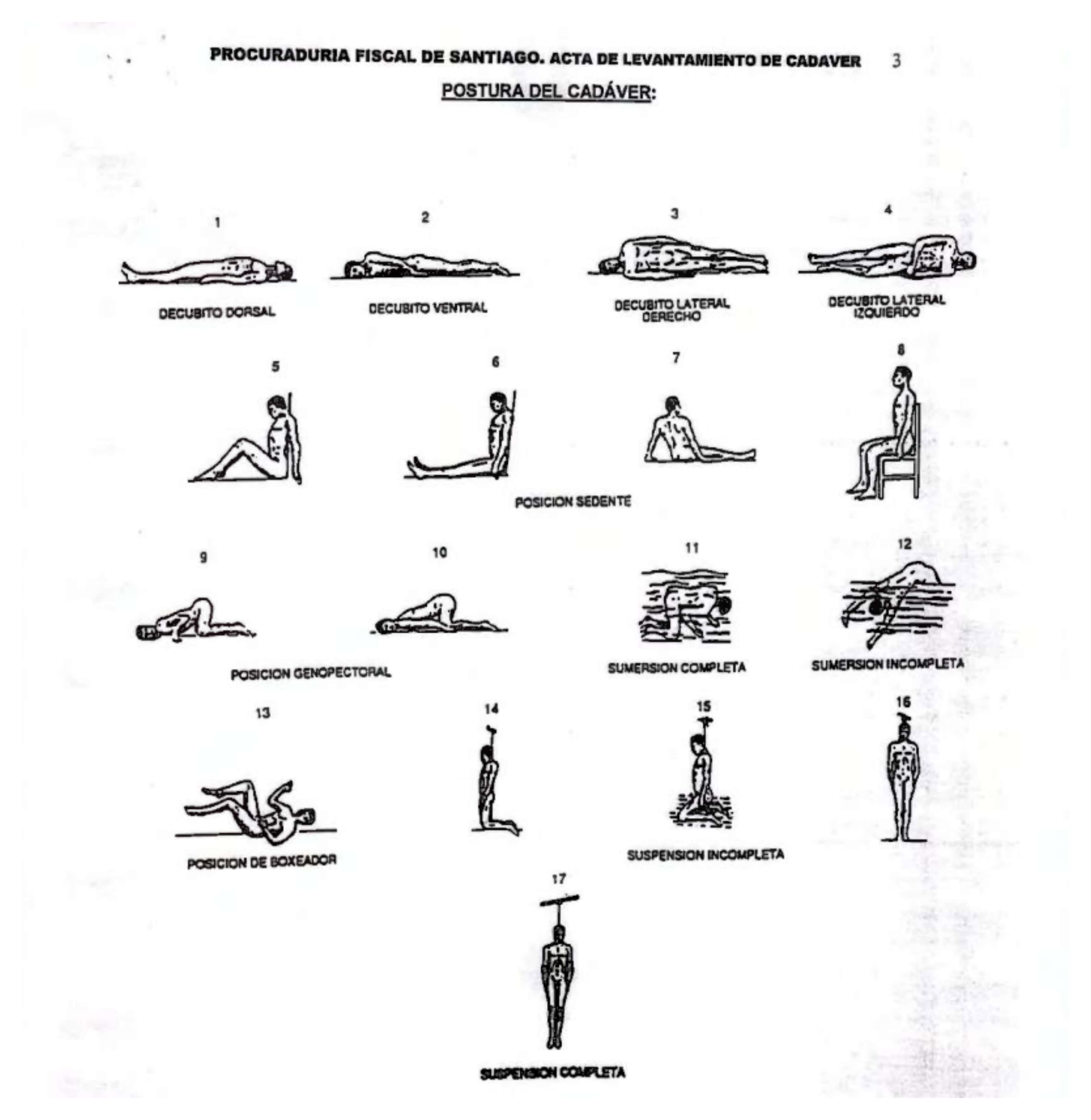 Infografía