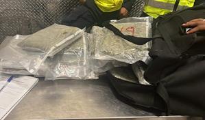 Incautan 42 paquetes de presunta marihuana en el aeropuerto de Punta Cana