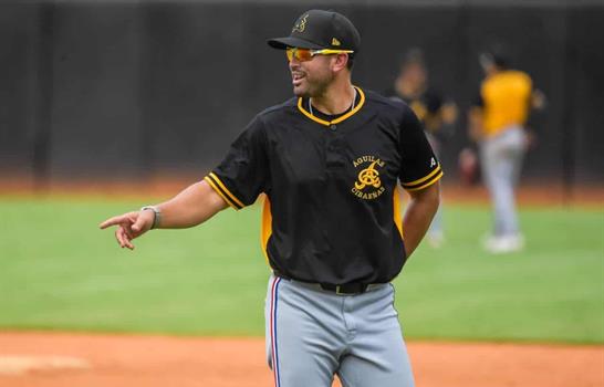 Las &Aacute;guilas Cibae&ntilde;as:  cuando ganan 30 juegos o m&aacute;s en la serie regular