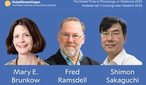 El Nobel de Medicina premia la investigación sobre el control del sistema inmunitario