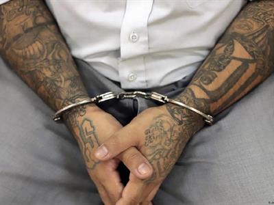 Esperan colaboración de Zohran Mamdani contra pandilleros