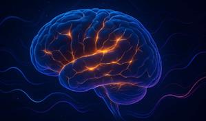 Un nuevo compuesto da resultados prometedores para el tratamiento de lesiones cerebrales