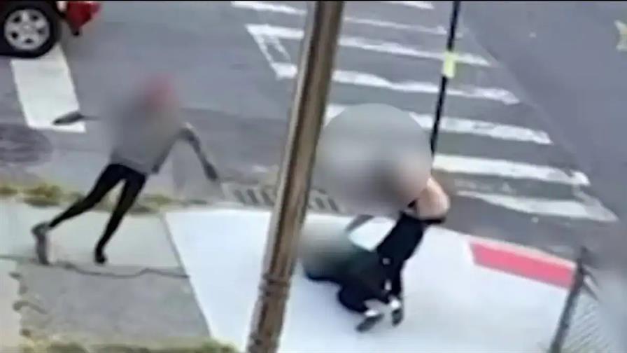 Arrestan a adolescente por golpiza a niña dominicana de 11 años en el Bronx