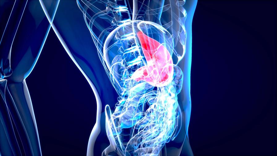 Un hidrogel actúa de barrera física y evita complicaciones tras cirugías abdominales Un hidrogel actúa de barrera física y evita complicaciones tras cirugías abdominales