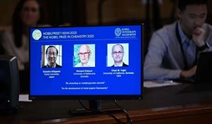 ¿Por qué son tan importantes las estructuras metaorgánicas?